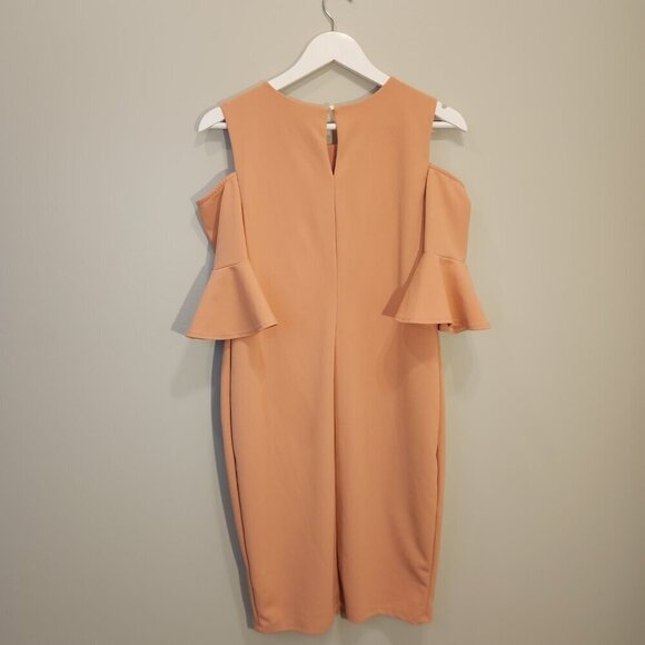 Pink Blush Dress - Cold Shoulder Flounce Sleeve Pink - Size M - Picture 2 of 6